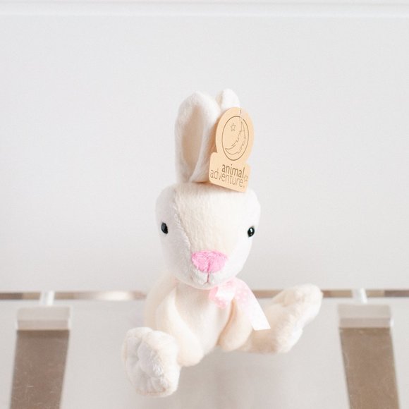 Easter Gift Basket Baby Animal Adventure Rabbit Soft Book Baby Animals Eggs - Picture 6 of 10